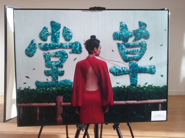 Chengdu was the location for a fashion art shoot. Photo: Clare O???Beara.