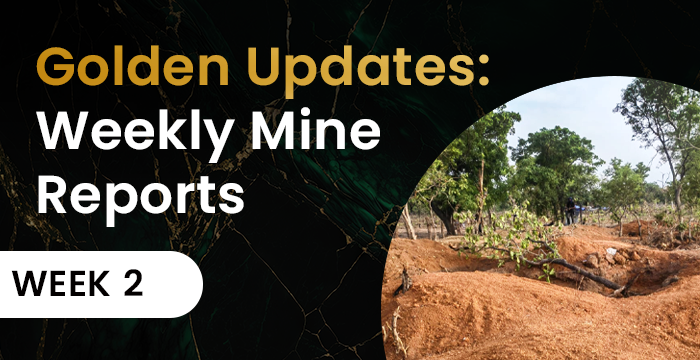 Golden Updates: Weekly Mine Reports — Week 2 | by Apraemio | Medium
