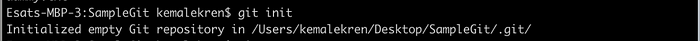 Terminal: git init completed