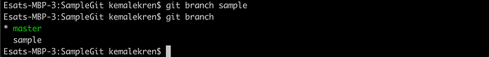 Two branches: master and sample
