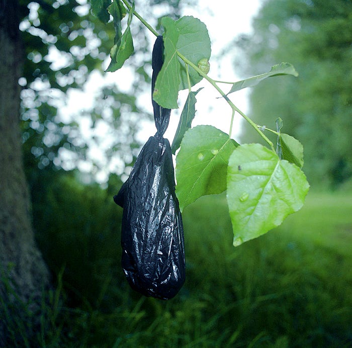 This Dog Poop Bag Photo Series Is the Nastiest Typology You'll Ever See, by Pete Brook