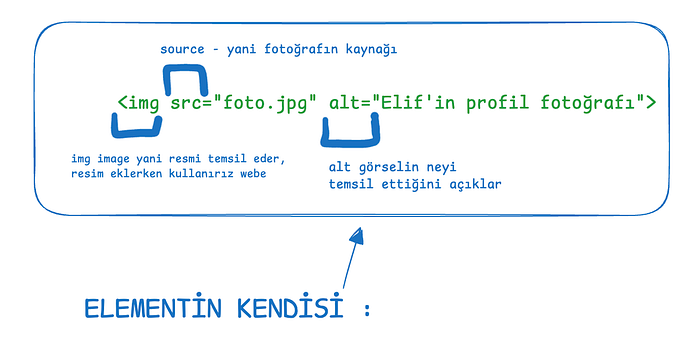 💻 HTML, Listeler ve İçerik Alıştırmaları— Web Serisi 2 image - ba83 💻 HTML, Listeler ve İçerik Alıştırmaları— Web Serisi 2 image - ba83