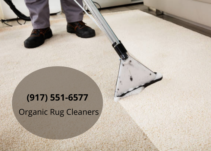 Professional Rug Cleaning NYC. Millions of people worldwide now use… by organic rug cleaners