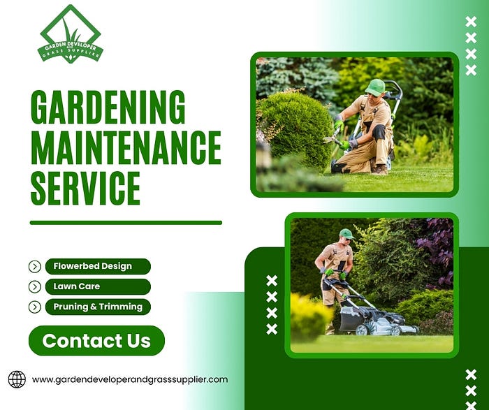 Expert Garden Maintenance