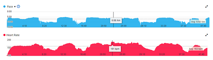 Garmin screenshot showing heart rate profile with several spikes. The run that finally woke me up to my mortality