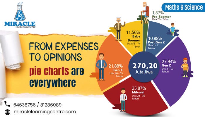 Real Life Examples When Pie Charts Become Significant | by Miracle ...