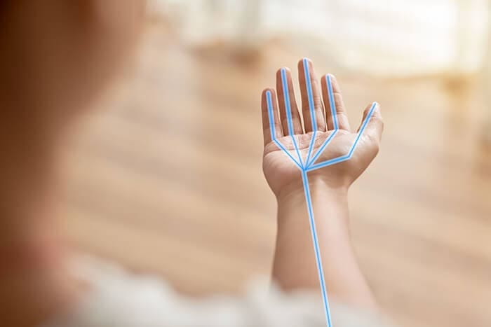 Build a Palm Detection and Hand Tracking Model with Python. (Part 1 ...