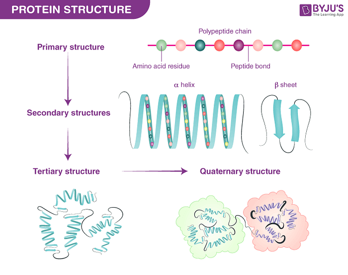 Novozymes Enzyme Stability Prediction - Imriel