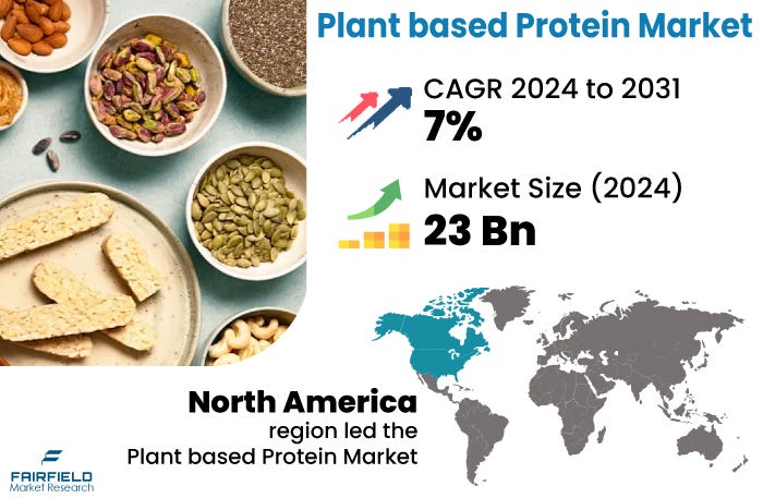 Plant-Based Protein Market Insights, Growth and Investment Feasibility ...