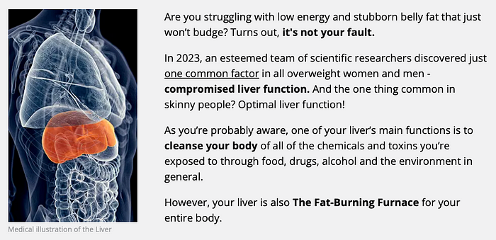 Diagram of the burning furncae