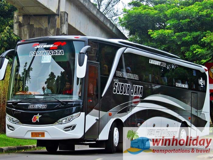 AlvinDo Trans dan City Miles: Mengupas Keunggulan Bus Pariwisata untuk Perjalanan Tak Terlupakan