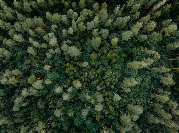 Bagging vs Boosting: The Complete Beginner’s Guide to Ensemble Learning in Machine Learning
