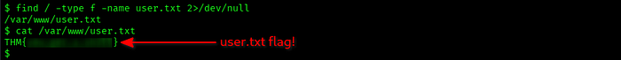 terminal results from cat /var/www/user.txt