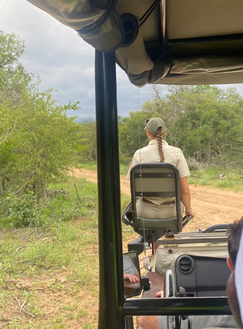 A safari tracker scans for signs of wildlife in the brush