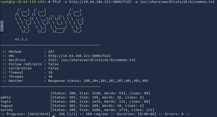 ffuf command and result in the terminal