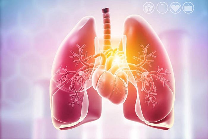 Global Heart-Lung Machine Market: Trends and Challenges 41 Global Heart-Lung Machine Market Forecast