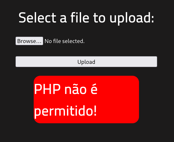 view of http://<TARGET_IP>/panel/ after upload failed