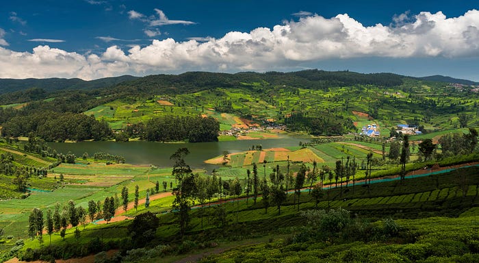 India Holiday Packages