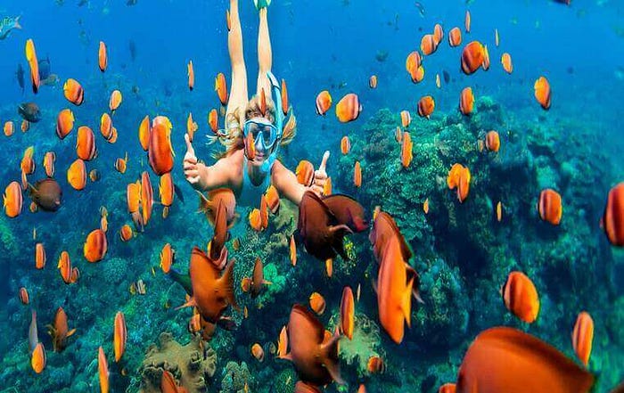 Snorkeling at Lovers Beach