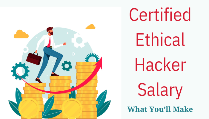 what-s-the-average-certified-ethical-hacker-salary-by-amaaira-johns
