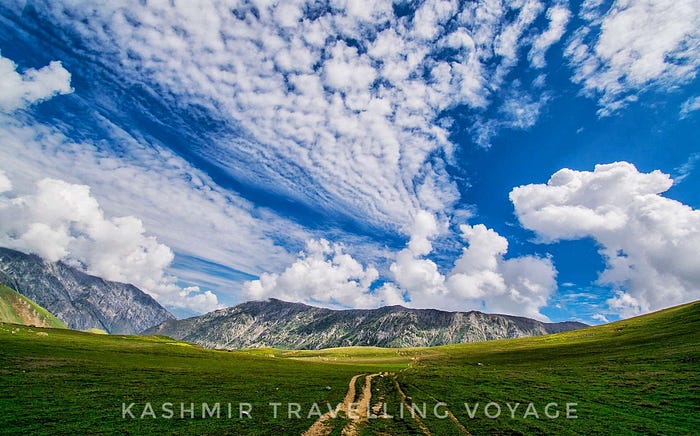 For nearly 30 years we worked alongside each other until we decided to create Kashmir Travelling Voyage™. The passion and energy we put into our work provide clients with seamless travel coordination. For all stages of planning, booking, and enjoying hand-crafted journeys throughout the World.