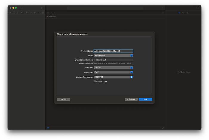 Options screen in Xcode, with RealityKit, Swift, and SwiftUI selected.