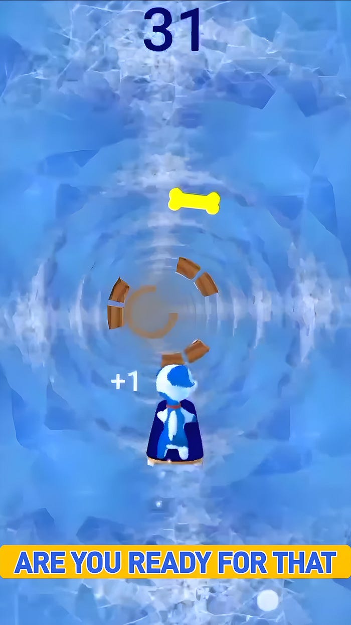 Sushi Cat Ice Pet Runner Game