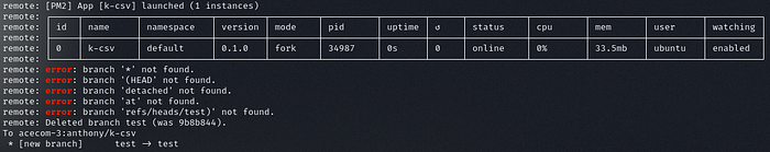 Example of the output after we triggered the post-receive hook.