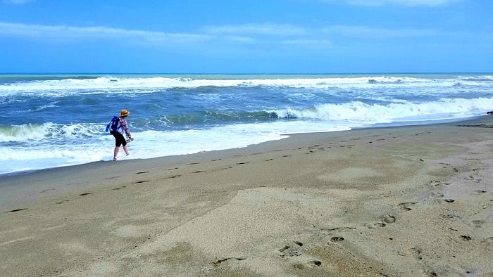 A backpacker walking on the beach
