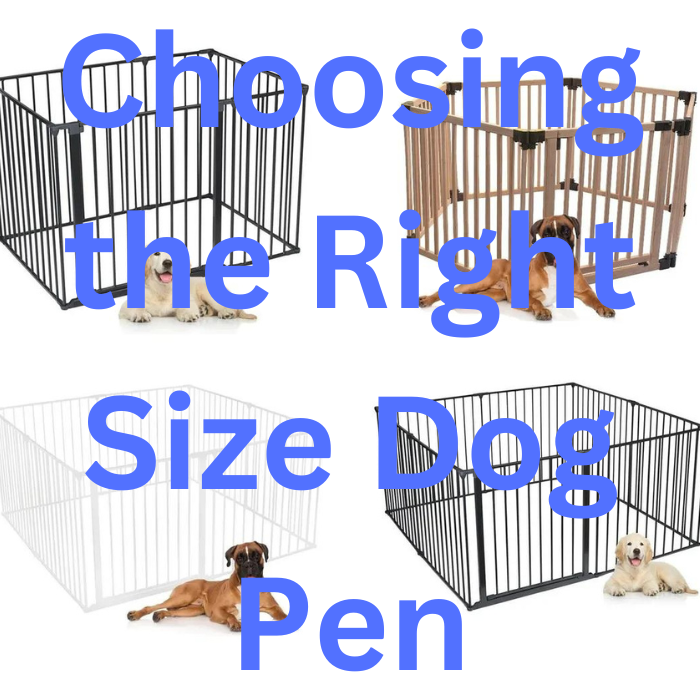 Choosing the Right Size Dog Pen A Comprehensive Guide by HOC Publishing Medium