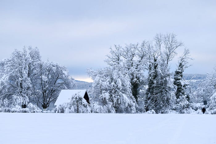 A snow-covered roofline nestled amongst tall trees in a snowy landscape