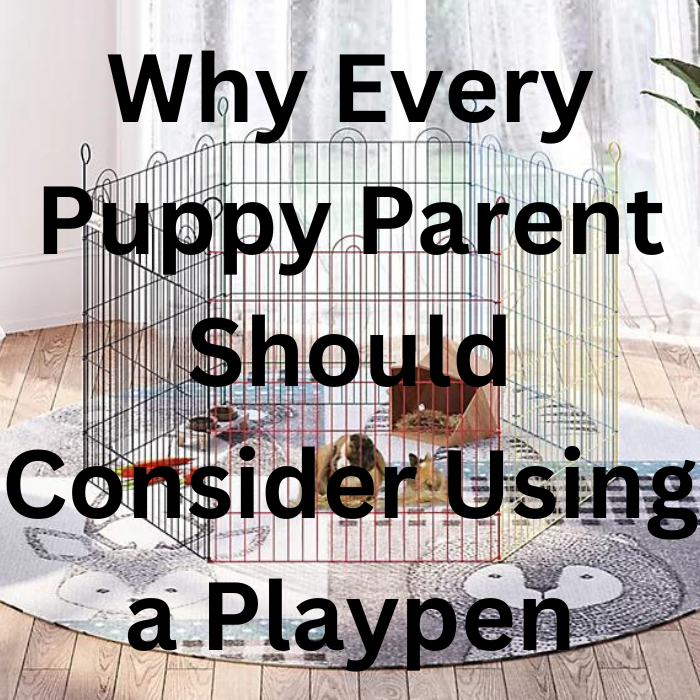 Unlocking the Benefits Why Every Puppy Parent Should Consider Using a
