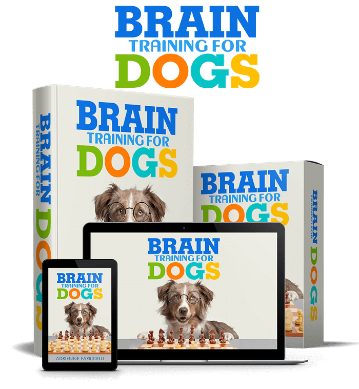 Brain Training For Dogs Train Your Dog or Puppy Easily by Dog Brain
