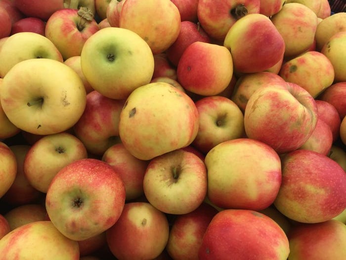 Why It’s So Difficult To Bite Into A Tasty New York Apple Right Now by Food Republic Medium