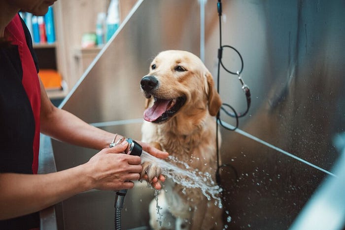 Veterinary clinic Leonardtown MD