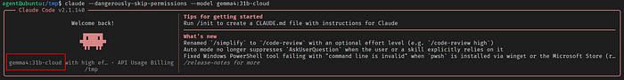 Image 1 — SQL Injection Using Google Gemma4