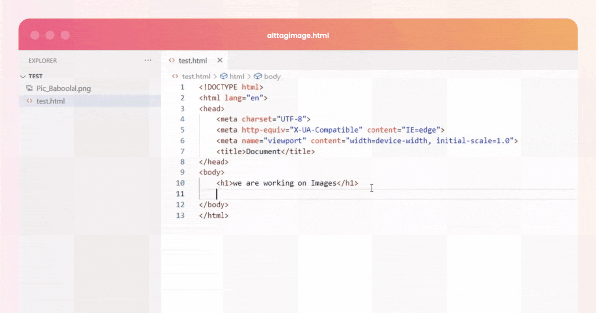 How to add alt attribute to custom code