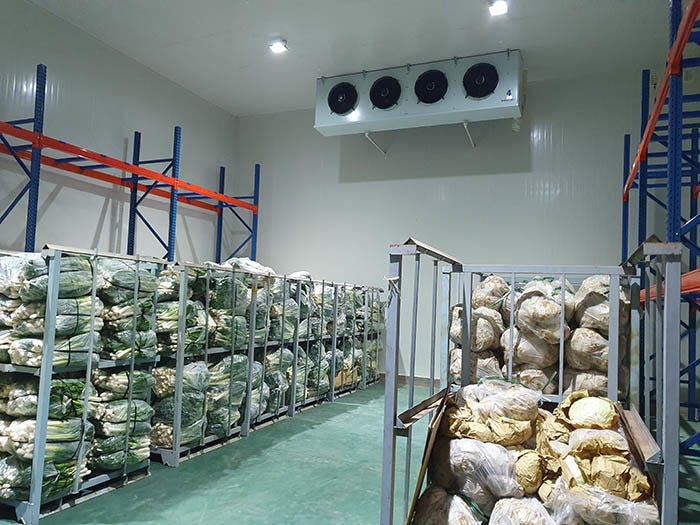 Mendukung Kearifan Lokal dengan Kelembutan Cold Storage: Kisah PT.
