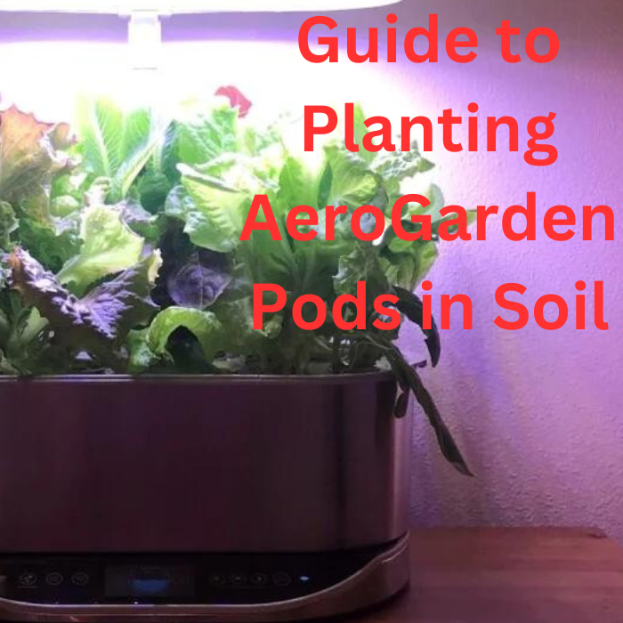 Can Aerogarden Pods Be Planted In Soil? | by HOC Publishing | Jan, 2024 |  Medium