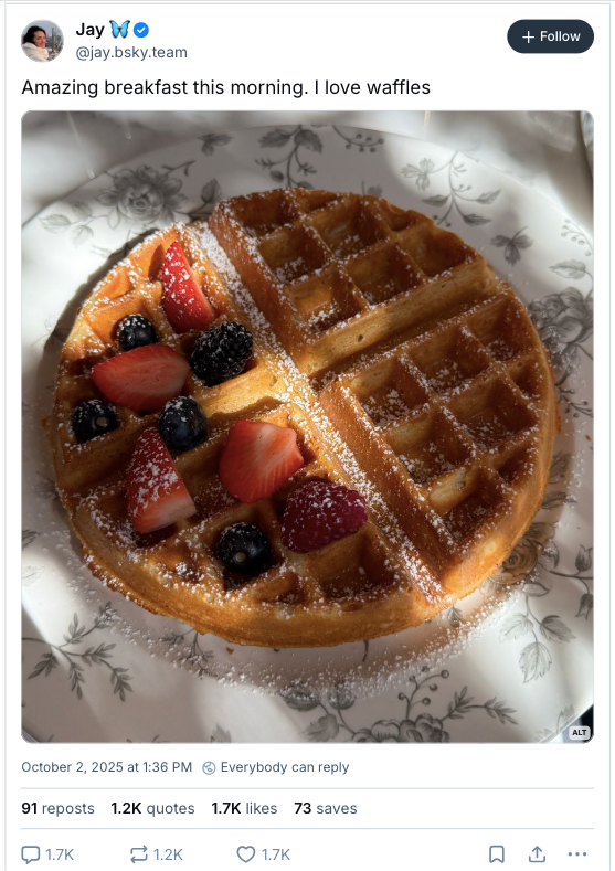 Jay Graber, Oct 2, 2025 on Bluesky: Amazing breakfast this morning. I love waffles. Photo of Belgian waffle with powdered sugar and berries