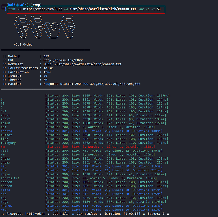 Image 4 — CMesS Tryhackme Walkthrough — Gila CMS Authenticated RCE