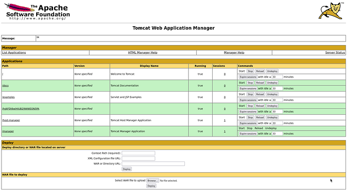 Image 7 — Thompson Tryhackme — Exploiting Apache Tomcat — d231bf1c2365