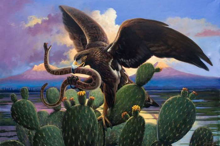 Doce hermosos animales de México de nombre náhuatl | by La Libélula México  | Medium