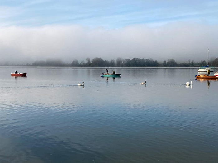 Lake with fishermen and swans —what other science we should account for