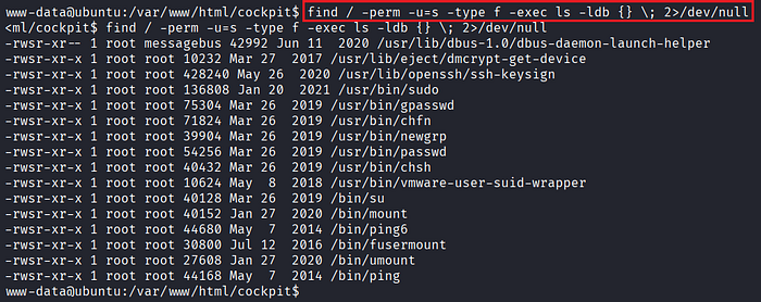 Image 8 — CMSpit Tryhackme d4838c44c2a7
