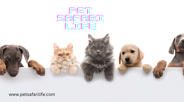 Victoria Fall pets - Remarkable Adventures Africa