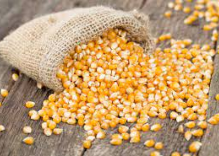 Why Do Popcorn Kernels Not Pop?. Popcorn is always nothing less than