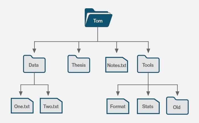 Binary Trees and Javascript. A tree is a hierarchical data structure ...