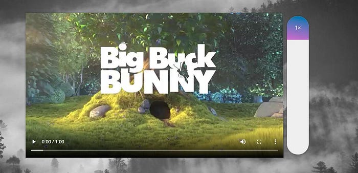 Video Speed Controller UI